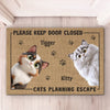 Door Closed, Cat Mischief Paused - Cat Personalized Custom Home Decor Decorative Mat - House Warming Gift For Pet Owners, Pet Lovers