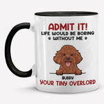 Custom Name Funny Dog Gifts for Dog Lovers - Personalized Accent Mugs