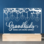 Custom Name Grandkids Gifts for Grandparents - Personalized 3D LED Light