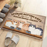 Custom Name Funny Cat Lover Gifts - Personalized Doormat