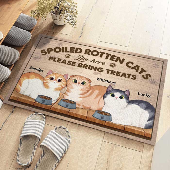 Custom Name Funny Cat Lover Gifts - Personalized Doormat