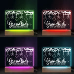 Custom Name Grandkids Gifts for Grandparents - Personalized 3D LED Light