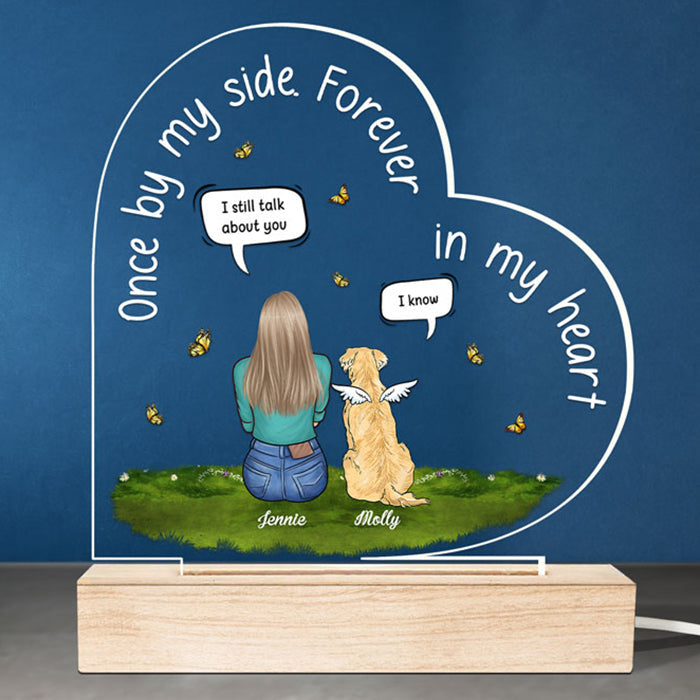 Custom Name Pet Memorial Gifts - Personalized 3D LED Light