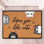 Funny Cat Lover Welcome Decor - Doormat