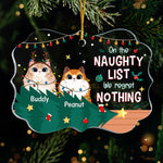 Custom Name Pet Christmas Gifts for Pet Lovers - Personalized Ornament