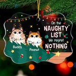 Custom Name Pet Christmas Gifts for Pet Lovers - Personalized Ornament