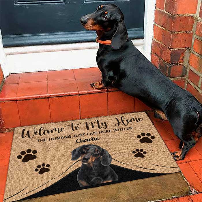 Custom Name Funny Dog Gifts for Pet Lovers - Personalized Doormat