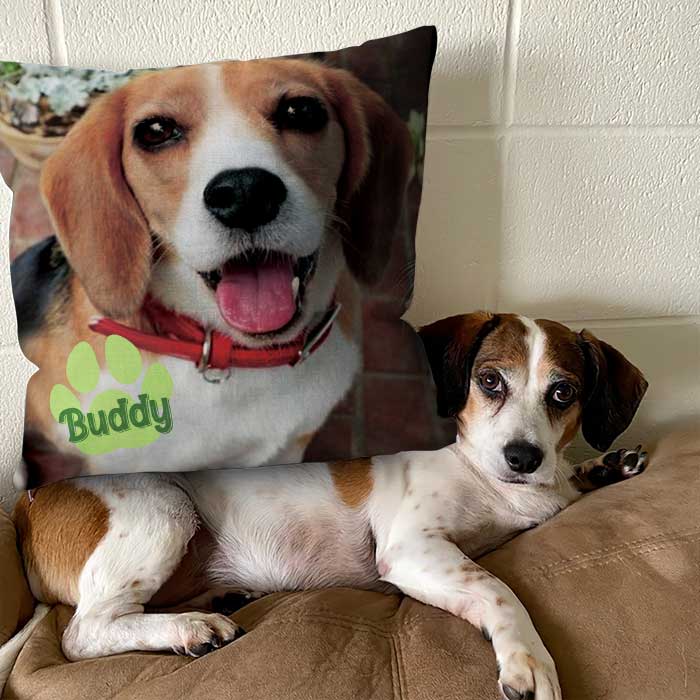 Custom Pet Photo Dog Lover Gifts - Personalized Pillow