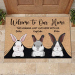 Custom Name Rabbit Family Home Decor - Personalized Doormat