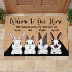 Custom Name Rabbit Family Home Decor - Personalized Doormat