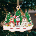Custom Name Christmas Pet Family Gifts - Personalized Ornament