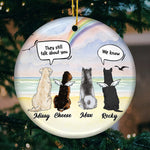 Custom Name Pet Memorial Christmas Gifts - Personalized Ornament