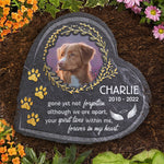 Custom Pet Photo Dog Memorial Gifts - Personalized Memorial Stone