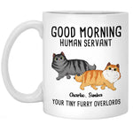 Custom Name Funny Cat Lover Gifts - Personalized Mugs