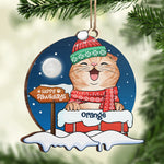 Custom Name Christmas Dog Gifts for Dog Lovers - Personalized Ornament