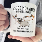 Custom Name Funny Cat Lover Gifts - Personalized Mugs