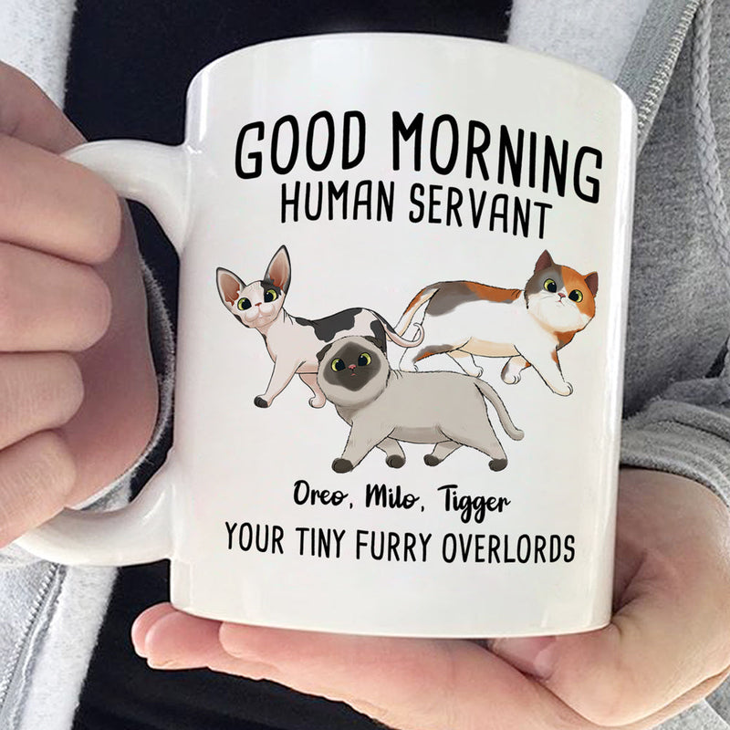 Custom Name Funny Cat Lover Gifts - Personalized Mugs