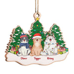 Custom Name Christmas Pet Family Gifts - Personalized Ornament