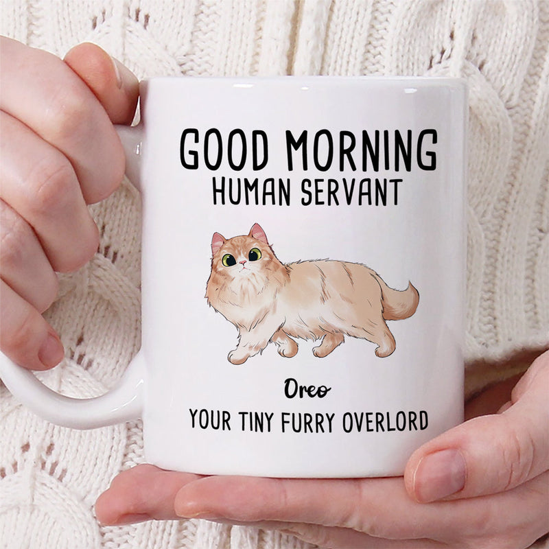 Custom Name Funny Cat Lover Gifts - Personalized Mugs