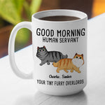 Custom Name Funny Cat Lover Gifts - Personalized Mugs