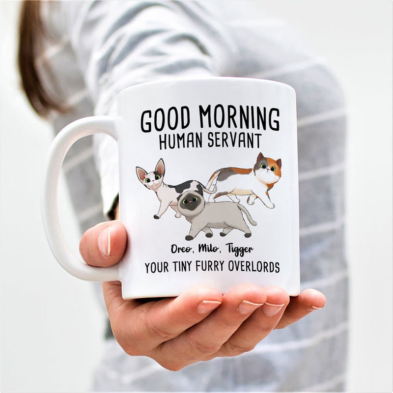 Custom Name Funny Cat Lover Gifts - Personalized Mugs