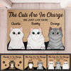 The Cats Are In Charge - Personalized Decorative Mat