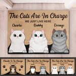 Custom Name Cat Family Gifts for Cat Lovers - Personalized Doormat