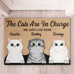 Custom Name Cat Family Gifts for Cat Lovers - Personalized Doormat