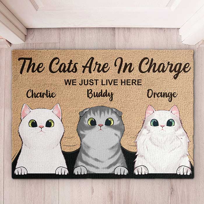 Custom Name Cat Family Gifts for Cat Lovers - Personalized Doormat