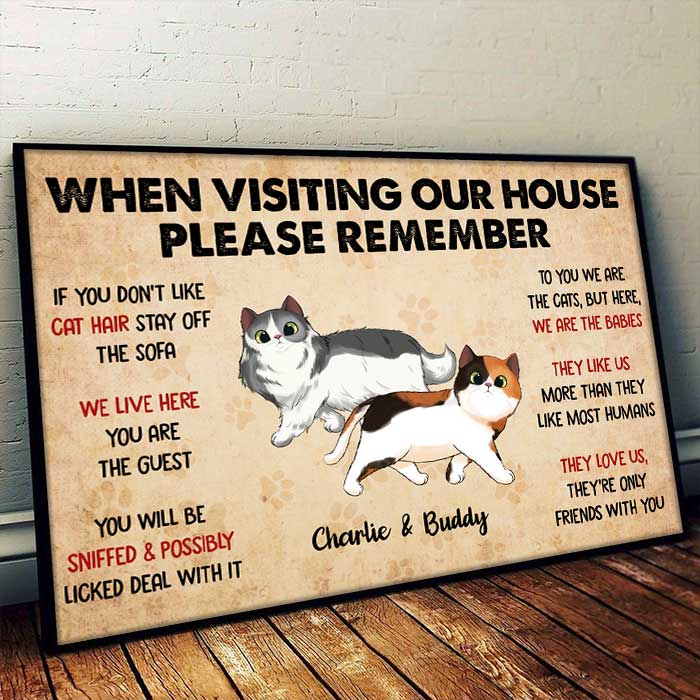 Cat House Rules Home Decor - Poster