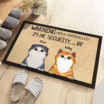 Custom Name Cat Approval Gifts for Cat Lovers - Personalized Doormat