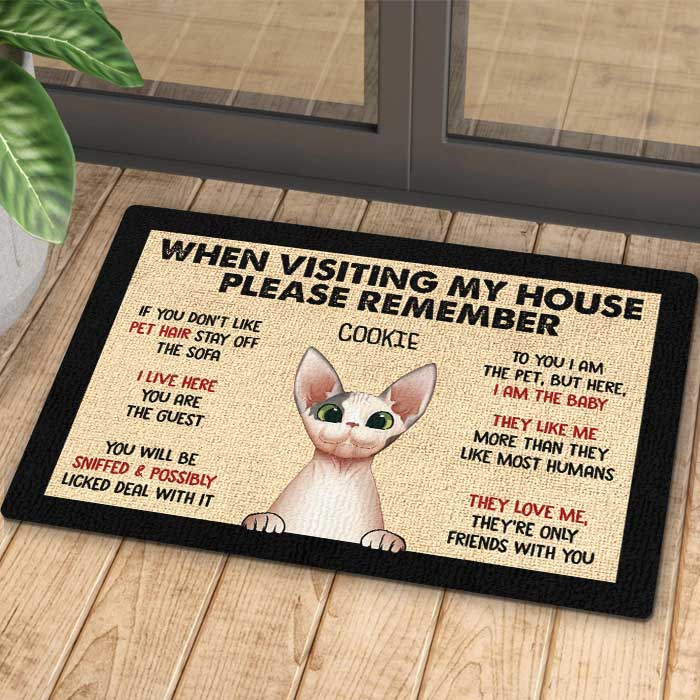 Pets' Rules When Visiting Our House - Cats And Dogs Personalized Decorative Mat, Doormat