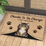 Custom Name Cat Family Gifts for Cat Lovers - Personalized Doormat