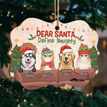 Custom Name Christmas Pet Gifts for Dog and Cat Lovers - Personalized Ornament
