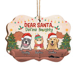 Custom Name Christmas Pet Gifts for Dog and Cat Lovers - Personalized Ornament