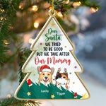Custom Name Naughty List Christmas Gifts for Pet Lovers - Personalized Ornament