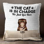 Custom Name Funny Cat Gifts for Cat Lovers - Personalized Pillow