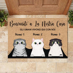 Custom Name Cat Welcome Gifts for Cat Lovers - Personalized Doormat