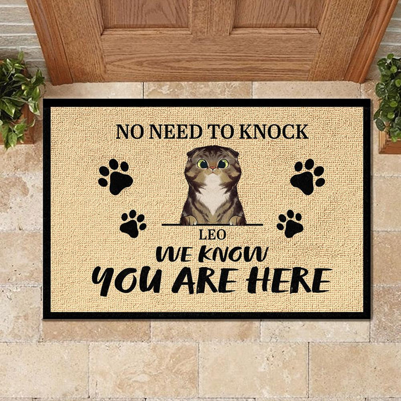 Custom Pet Name Funny Cat Gifts for Cat Lovers - Personalized Doormat