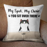 Custom Name Funny Cat Lover Gifts - Personalized Pillow
