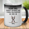 Dear Dad Forget Father's Day I Meow You Everyday - Funny Personalized Color Changing Cat Mug