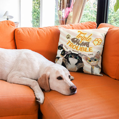 Trouble With My Cats - Funny Personalized Cat Pillow (Insert Included)