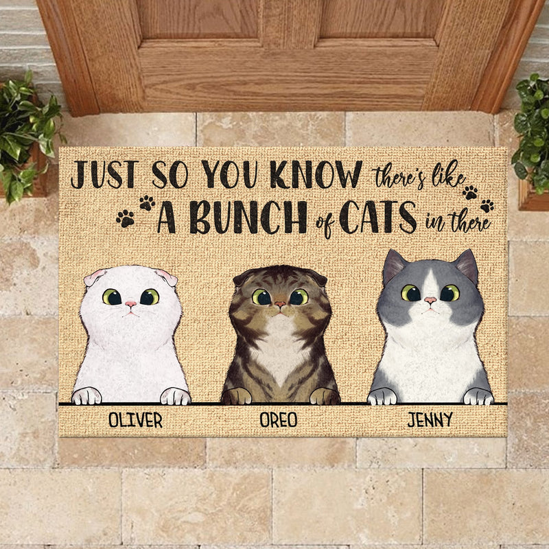 Custom Cat Breed and Name Gifts for Cat Lovers - Personalized Doormat