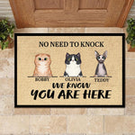 Custom Pet Name Funny Cat Gifts for Cat Lovers - Personalized Doormat