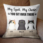 Custom Name Funny Cat Lover Gifts - Personalized Pillow