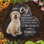 Custom Pet Photo Dog Memorial Gifts - Personalized Memorial Stone