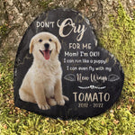 Custom Pet Photo Dog Memorial Gifts - Personalized Memorial Stone