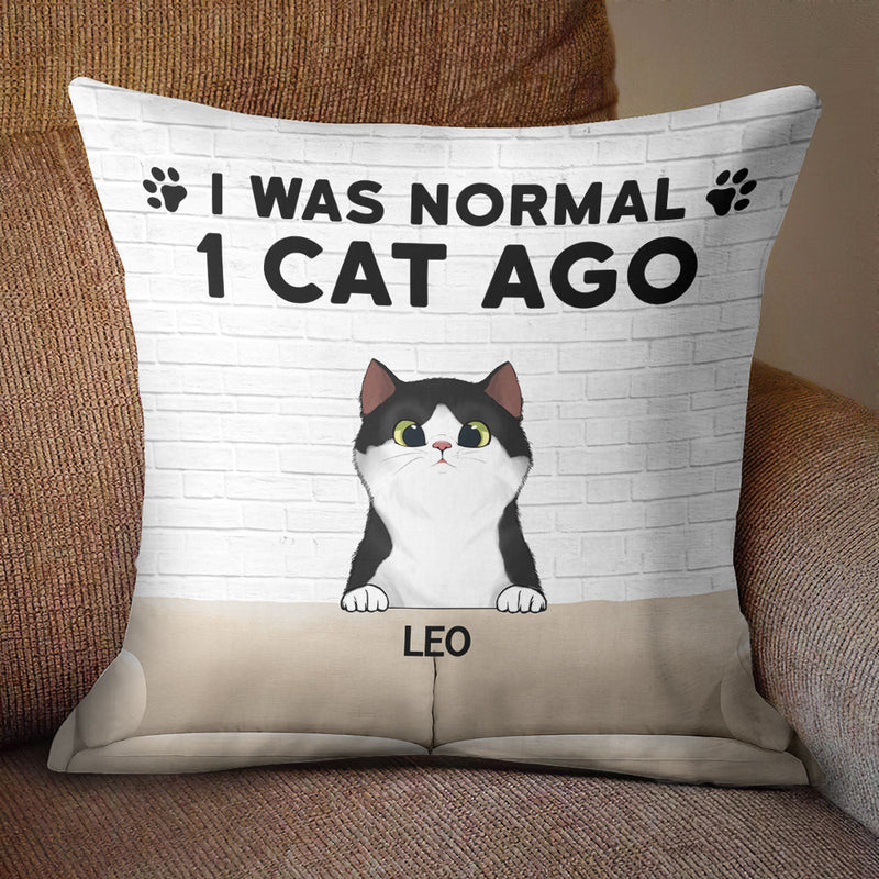 I Was Normal With My Cats - Funny Personalized Cat Pillow (Insert Included)