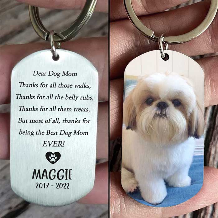 Thanks For All Those Walks - Upload Image, Gift For Dog Lovers - Personalized Keychain