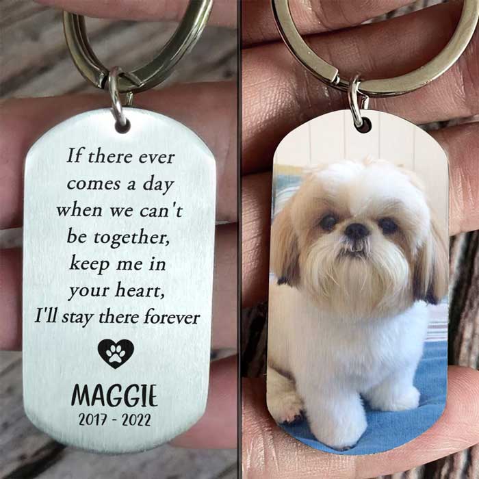 Custom Pet Photo Memorial Gifts for Dog Lovers - Personalized Keychain